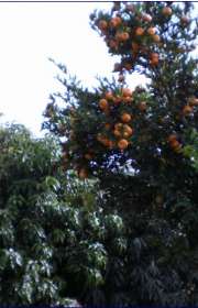 chacara-a-venda-em-atibaia-sp-centro-ref-182 - Foto:22