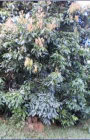 chacara-a-venda-em-atibaia-sp-centro-ref-182 - Foto:28